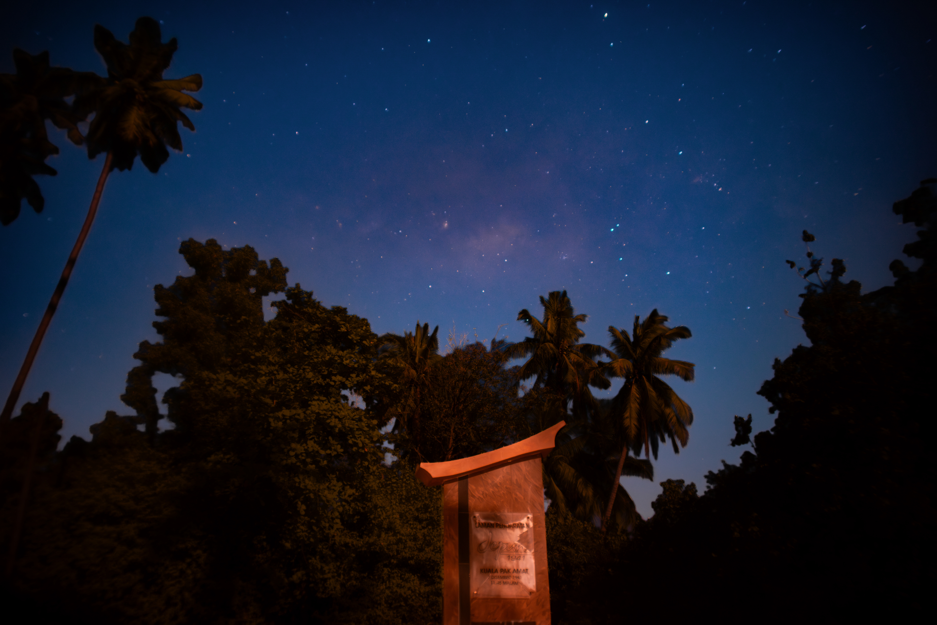 A starry night sky is pictured above palm trees. A minument is visible at the bottom of the image.
