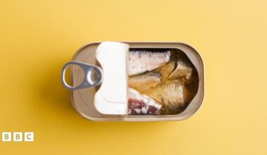 An opened tin of fish with a yellow background