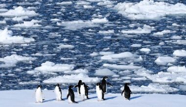Study finds storms, warm seas drove sudden drop in Antarctic ice - news.cgtn.com