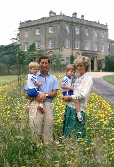 Prince Harry and Prince William wearing matching blue outfits being held by Charles and Diana in front of Highgrove House
