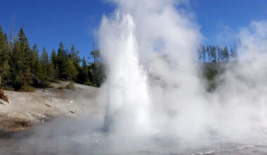 World's largest acidic geyser wakes up in Yellowstone from six-year slumber
