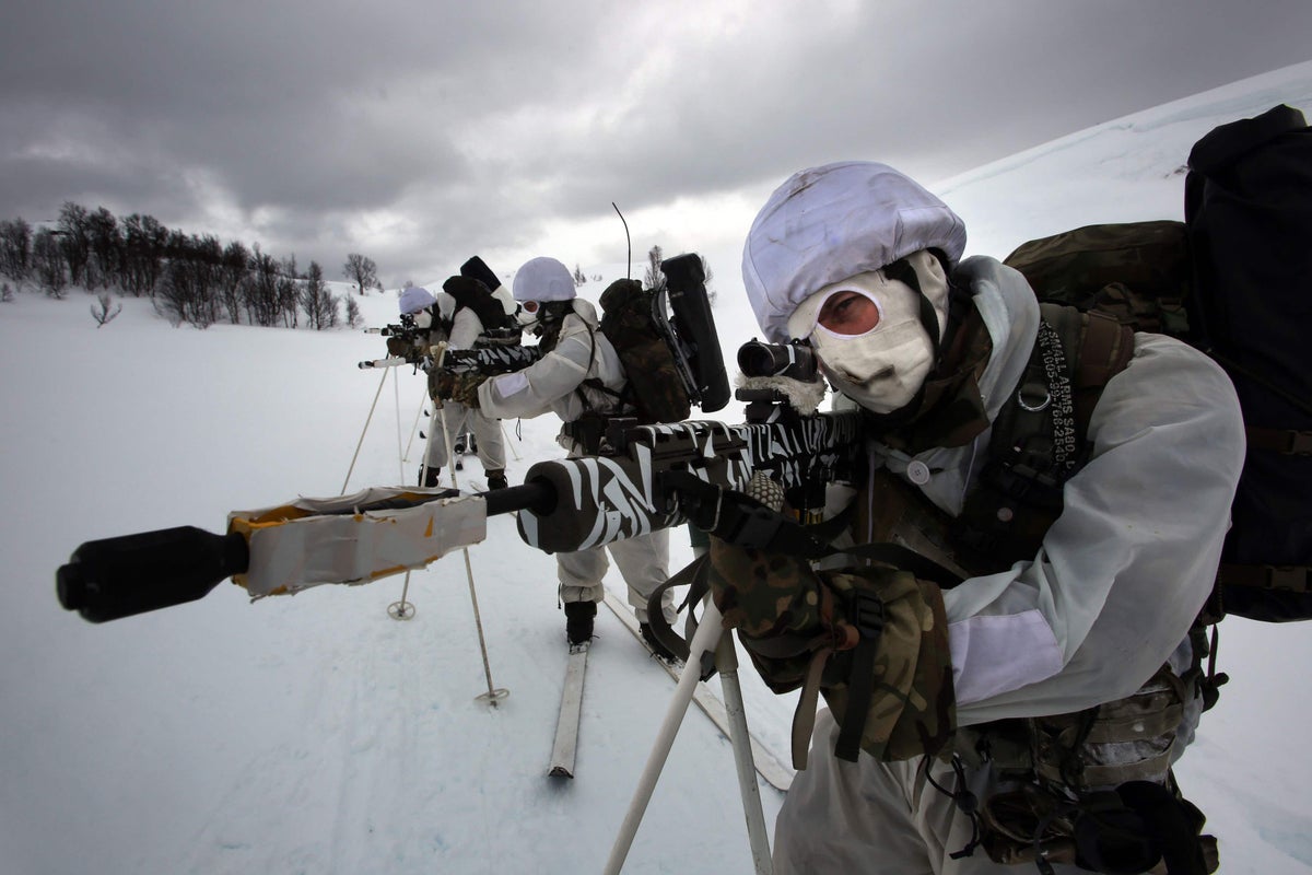 25,000 troops from 14 nations involved in Arctic war drills amid tension over Greenland