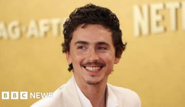 Timothée Chalamet: Artists react to Oscar hopeful's ballet and opera remarks - BBC