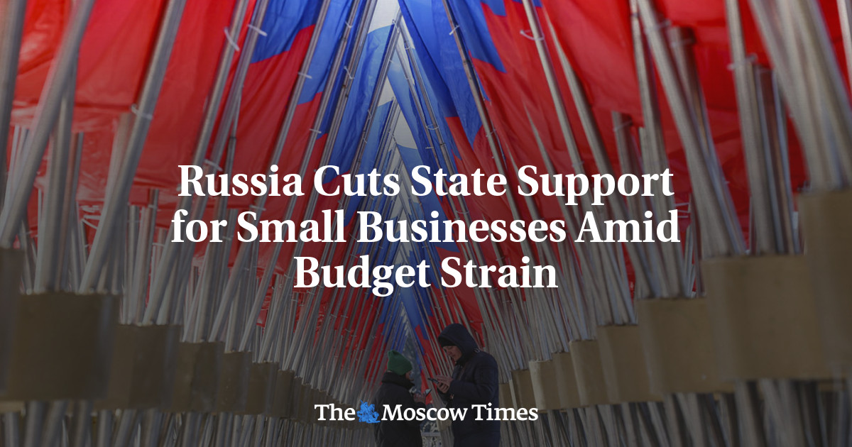 Russia Cuts State Support for Small Businesses Amid Budget Strain