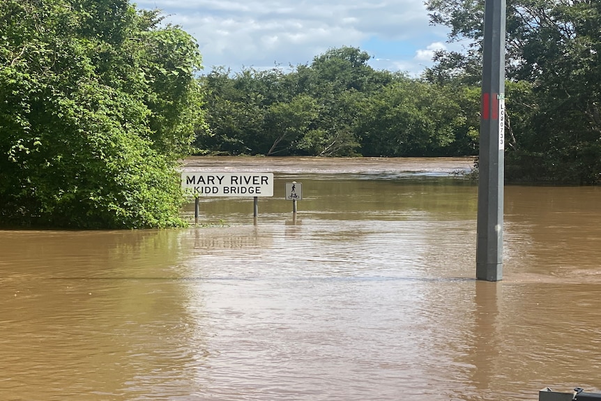 Kidd Bridge flooding at Gympie. 