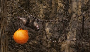 Yahoo lifestyle home