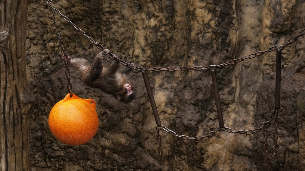 Yahoo lifestyle home