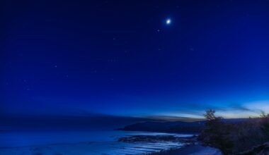 The moon is pictured glowing above the star-like form of Jupiter in a dark blue night sky above a snowy field bordering a road.