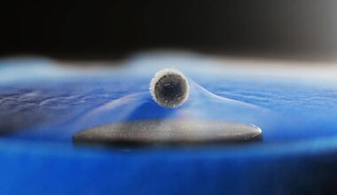 A 67 Year Old Physics Theory Was Accidentally Confirmed, Setting The Stage For The Future Of Energy