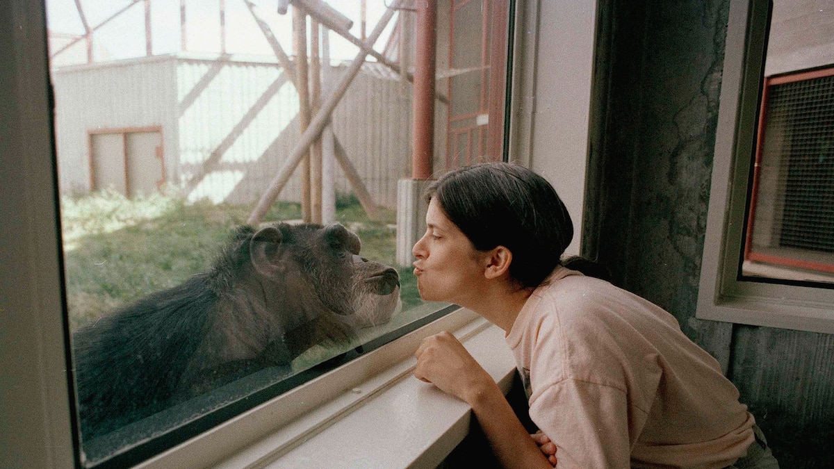 Will humans and animals ever be able to converse? Here’s what science says.