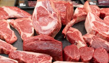 Influencers promoting carnivore diet spreading dangerous misinformation, doctor says – The Irish Times