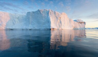 Antarctica’s melting ice won’t help fight climate change after all