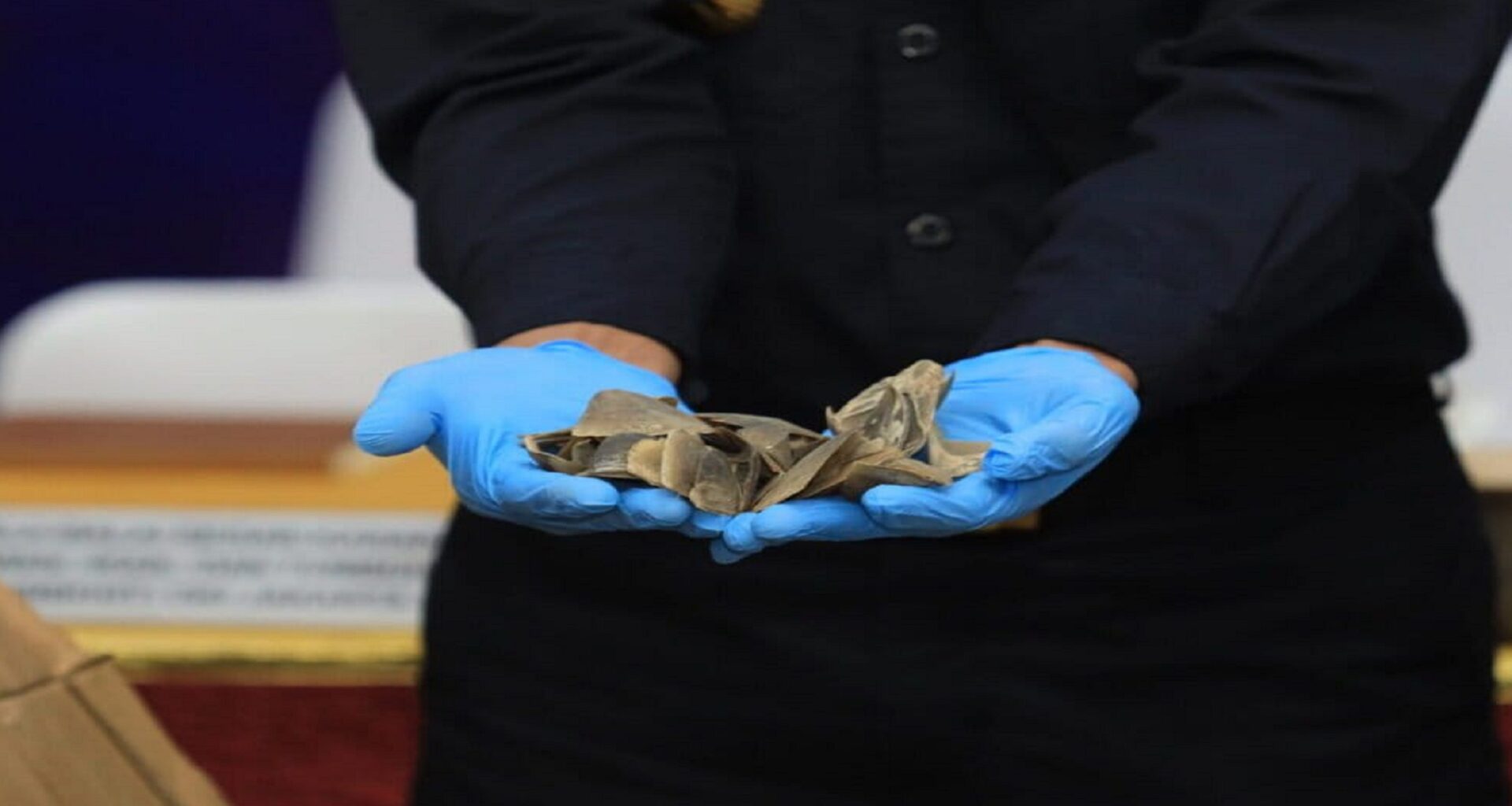 Jakarta port authorities seize 3 tons of pangolin scales in Cambodia-bound container