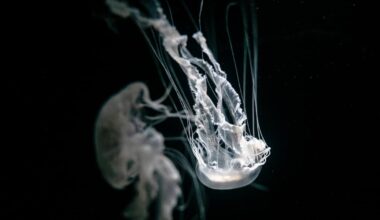 Photos tell stories of the ocean in an era of warming seas – The Irish Times