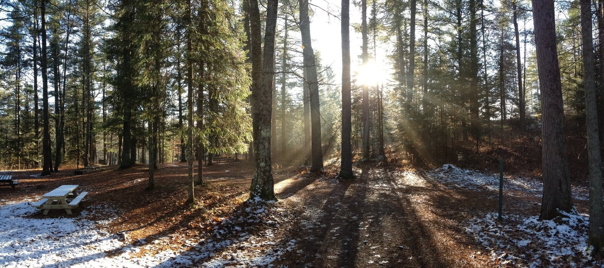 Sunlight filters through tall trees in a forest, casting long shadows on a path with a light dusting of snow. A picnic table is seen to the left.