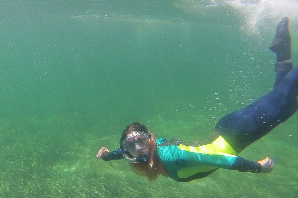 ‘Beyond distressing’: Study lays algal bloom mental health impacts bare - News