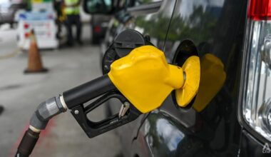 Fuel subsidy bill rises over 4-fold to US$813 million monthly as Malaysia absorbs soaring price: Minister