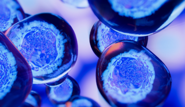 NKT cells: a generalist in disease treatment and a new key to unlock immunotherapy