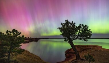 Powerful geomagnetic storm could spark northern lights as far south as Illinois March 18-19