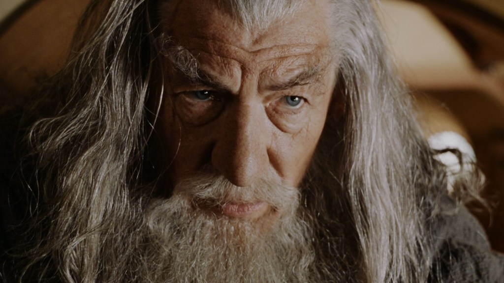 Gandalf (Ian McKellen) in The Lord of the Rings The Fellowship of the Ring
