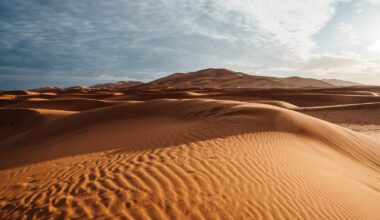 Sahara Desert