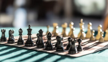 Chess pieces arranged for the start of a chess game