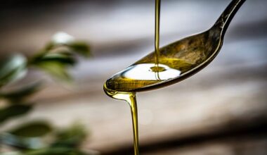 Virgin olive oil intake linked to cognitive preservation via the gut