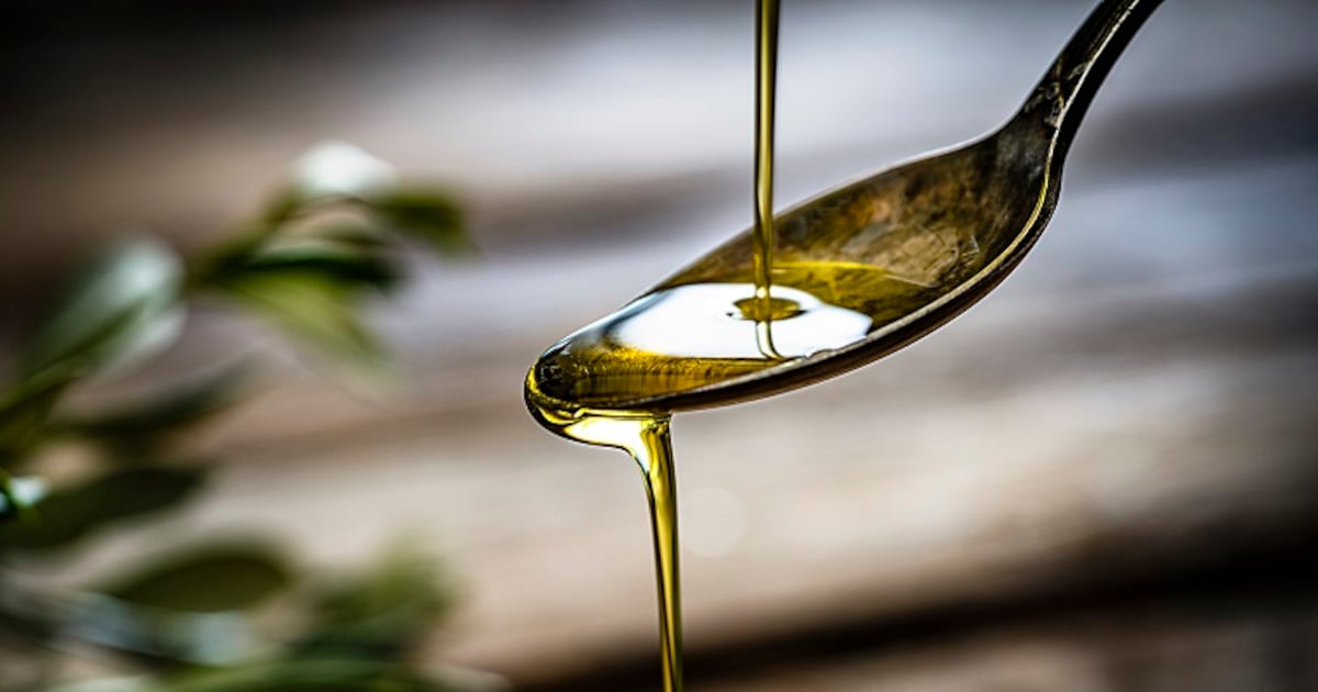 Virgin olive oil intake linked to cognitive preservation via the gut