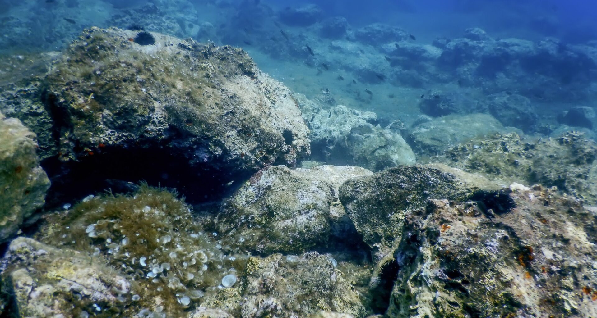 Half-billion-year-old 'rock clock' reveals ancient climate shifts