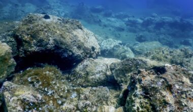 Half-billion-year-old 'rock clock' reveals ancient climate shifts