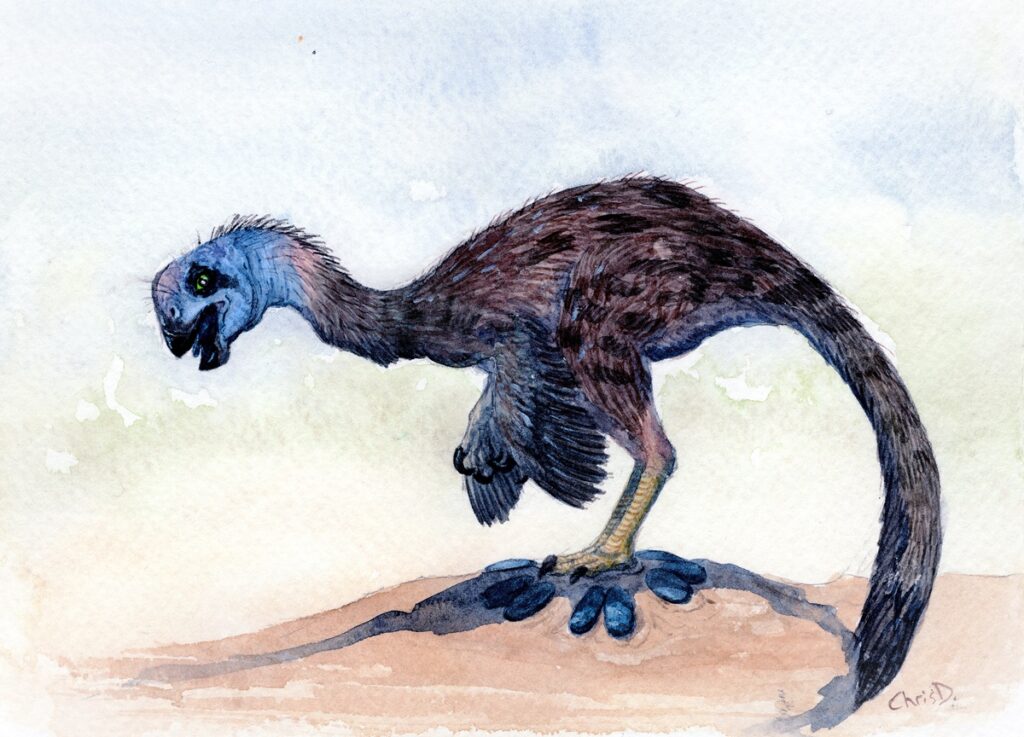 Illustration of an Oviraptor over her eggs, Heyuannia