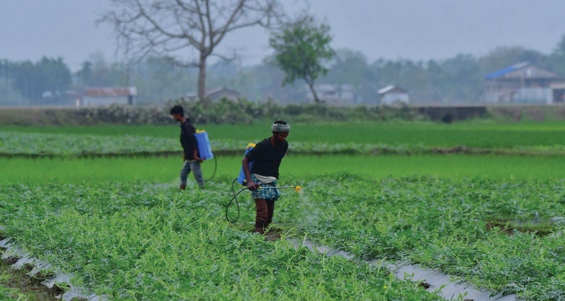 Indian fertilizer, specialty chemical industries hit by US-Iran war