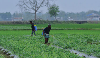 Indian fertilizer, specialty chemical industries hit by US-Iran war