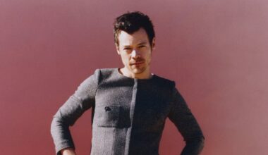 Harry Styles looks to be here for the duration. He deserves to be – The Irish Times