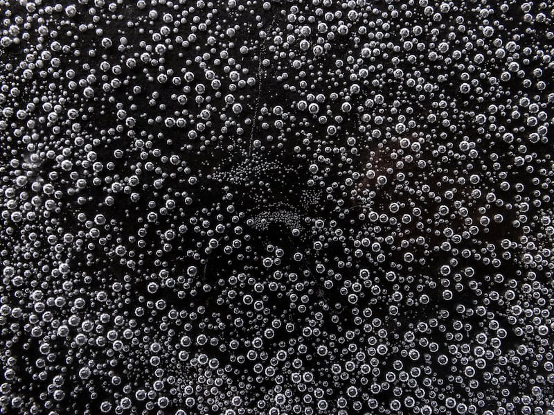 The Ocean Within. Photograph: Yvette Monahan