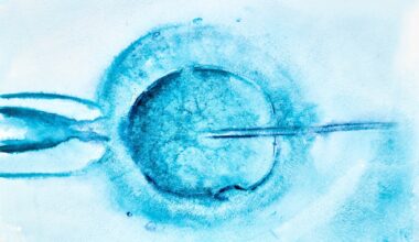 IVF laboratory setting and assisted reproduction concept image