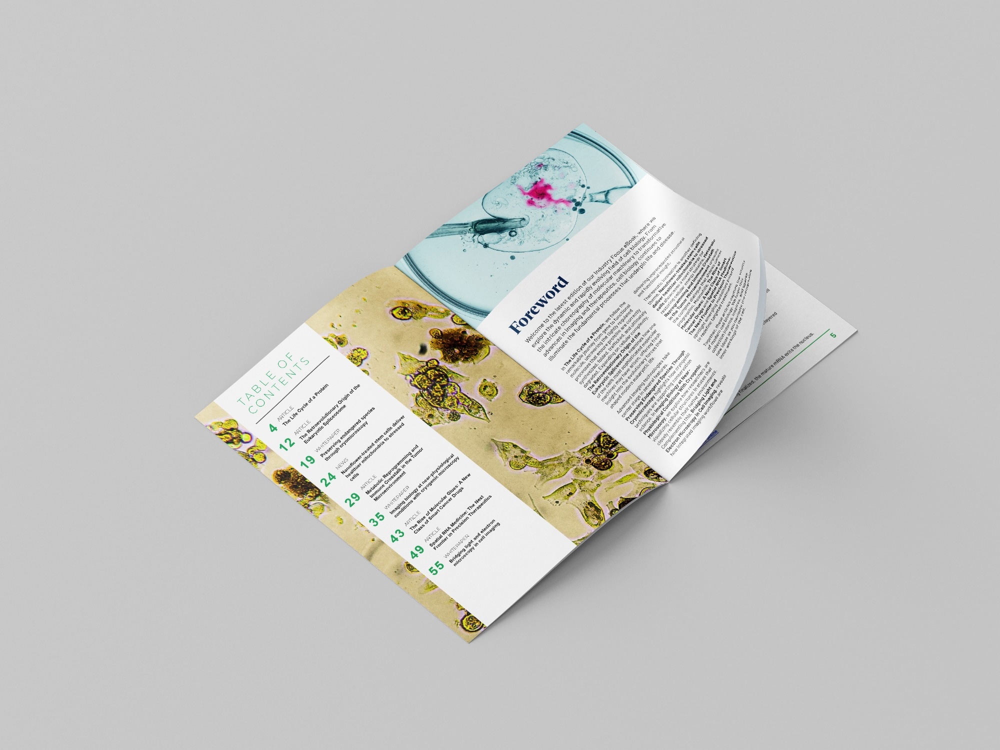 Industry focus eBook - Cell biology (3rd edition)