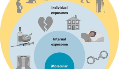 Throughout the lifespan, external exposome factors - including individual-level and structural exposures - are integrated within the body as the internal exposome. These dynamic exposures interact across critical life stages, influencing biological processes and shaping downstream health outcomes.