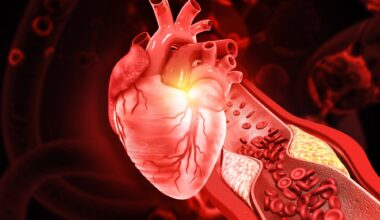 Study: Circulating gut microbial metabolites and risk of coronary heart disease: A prospective multi-stage metabolomics study. Image Credit: Explode / Shutterstock