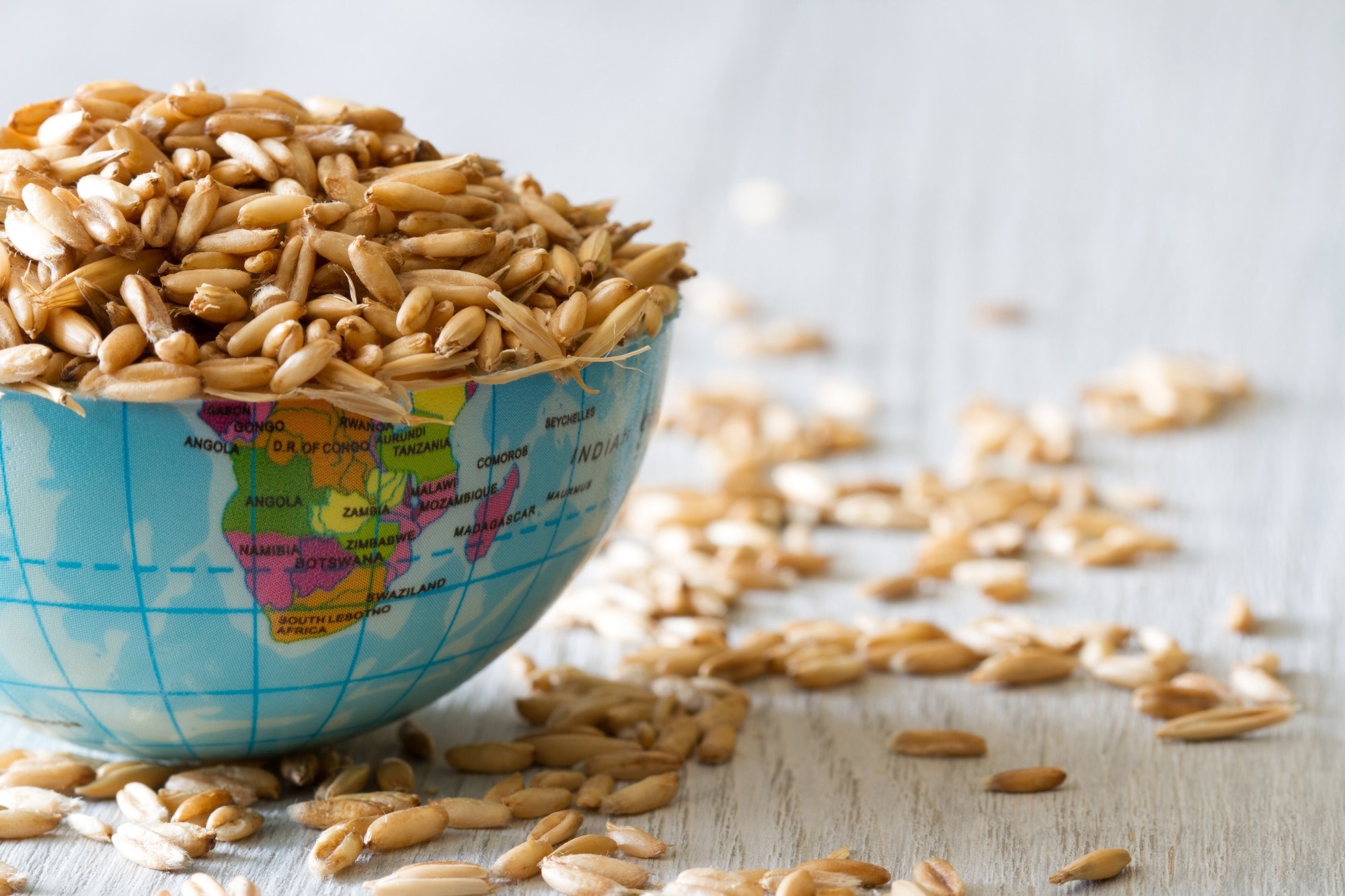 Globe filled with grain