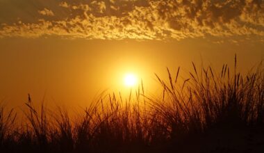 Pace of global warming has nearly doubled since 2015, reveals study