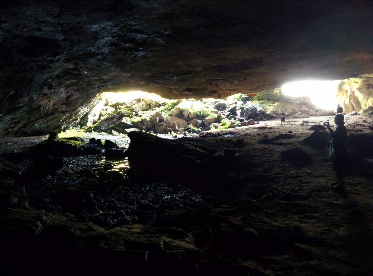 Behind a waterfall lies a 200-metre-deep elephant cave harbouring a deadly virus that has a terrifying 88% fatality rate