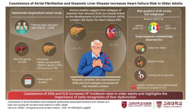 Korea University Study Identifies Liver-Metabolic Disease as a Key Risk Factor for Heart Failure in Older Adults with Atrial Fibrillation