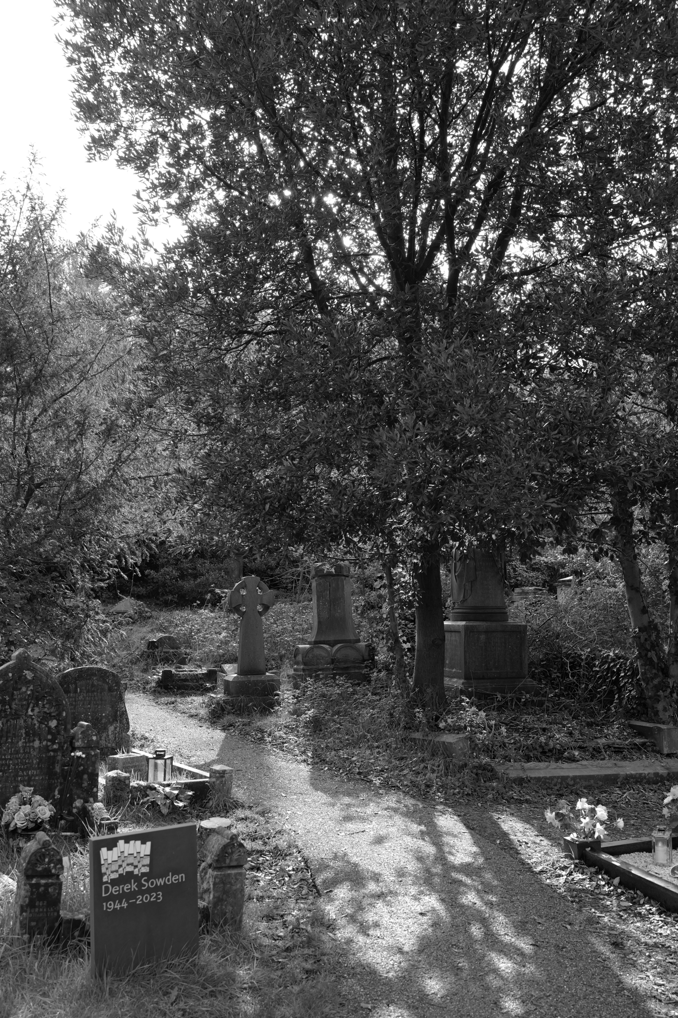 Leica Q3 Monochrom and Google Pixel 10 Pro XL comparison