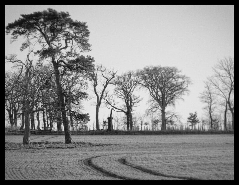 Black and white photo of a field with two tall, leaning trees in the foreground and more bare trees in the background. Curved tire tracks are visible in the grass under a clear sky.