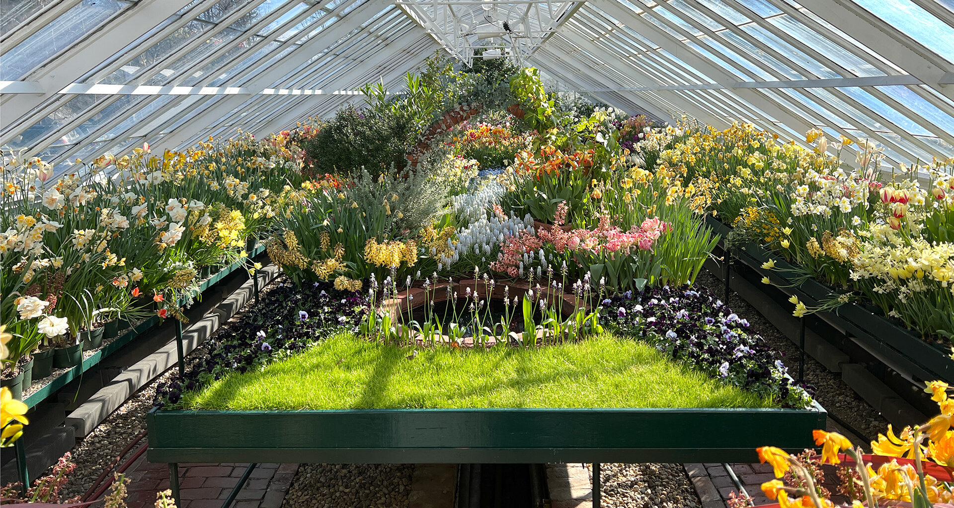 Secrets of evolution found in ancient plant DNA