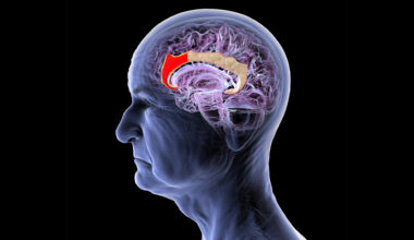 The Longitude Prize on Dementia