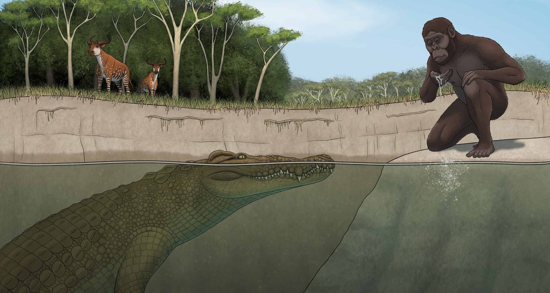 Brutal New, 15-Foot Horned Crocodile Once Stalked and Hunted Our Ancient Human Ancestors in Ethiopia