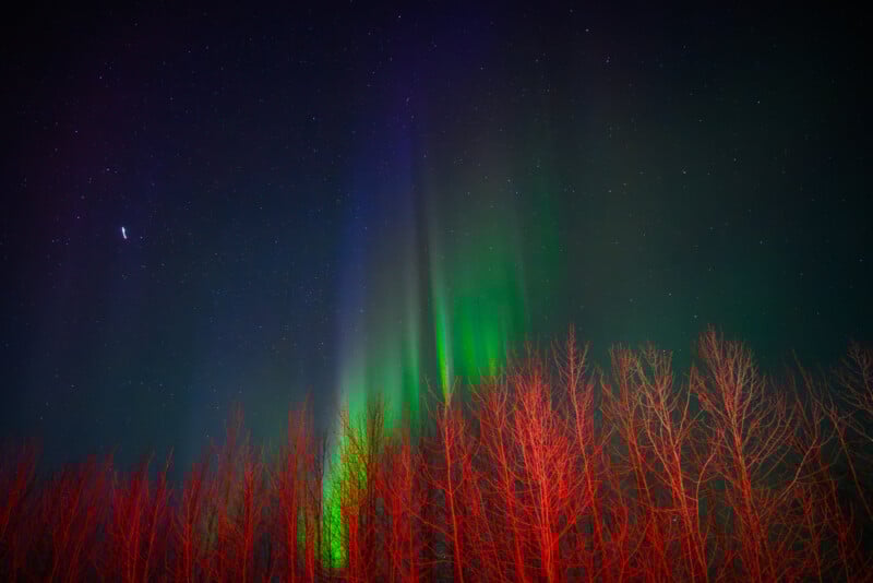 Colorful aurora borealis with green and purple lights in the night sky above leafless trees, illuminated red in the foreground. A starry sky is visible, with a bright planet or star on the left.
