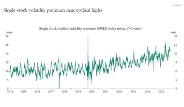Single-stock volatility premium near cyclical highs